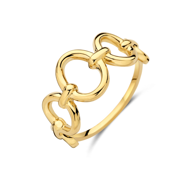 Damenring Circle Elements Gold 585 - 5 Elemente