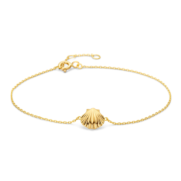 Armband Anhänger Muschel Gold 585 - Ankerkette