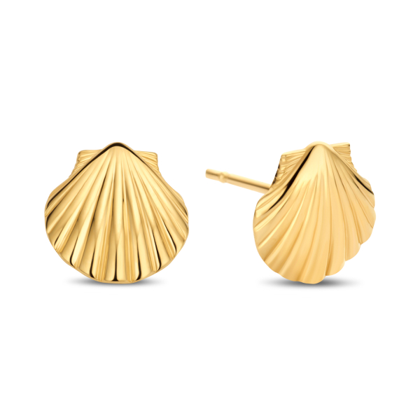 Ohrstecker Muschel Gold 585 - 8x8mm