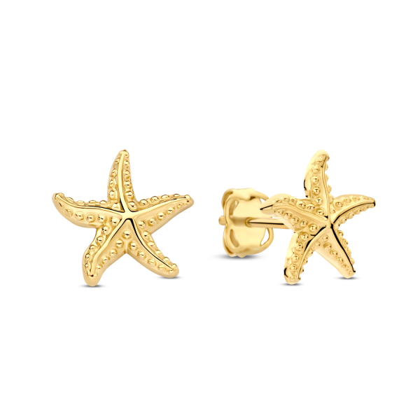 Ohrstecker Seestern Gold 585