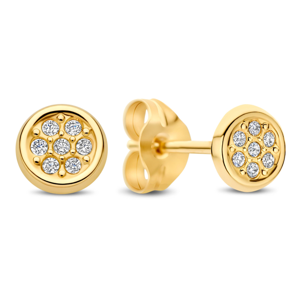 Ohrstecker mit 14 Zirkonia Gold 585 - Ø 4,3mm