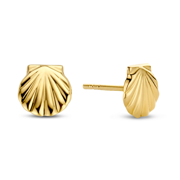 Ohrstecker Muschel Gold 585 - 6mm