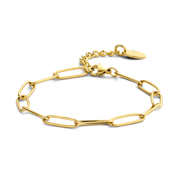 Lovebird Armband Edelstahl IPG - Kettenglieder 15x5mm - 16+3cm