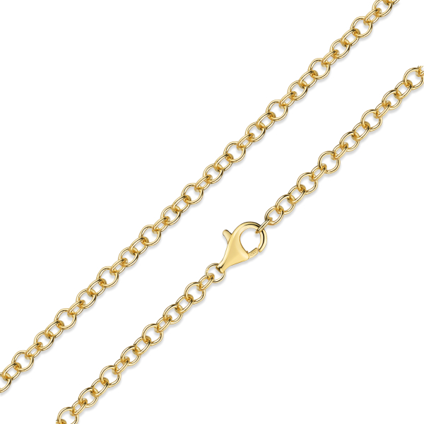 Ringkette Silber 925 vergoldet - 3,3mm breit - 45cm