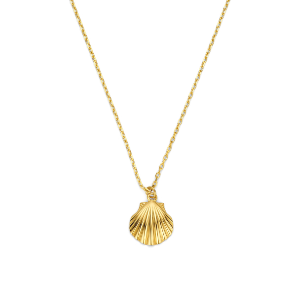 Collier mit Anhänger Muschel Gold 585 - Muschel 8x8mm