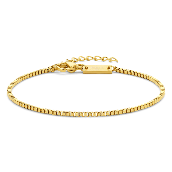 Frank 1967 Armband Edelstahl IPG - 16,5cm mit 3cm Verlängerung - 1,40mm breit